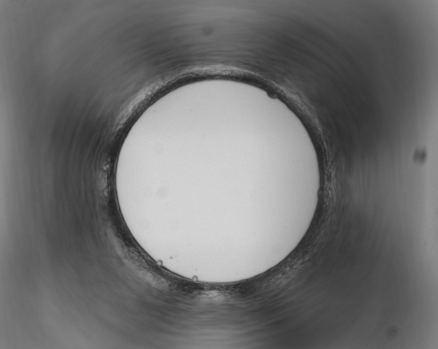 X0000115490111200912041024