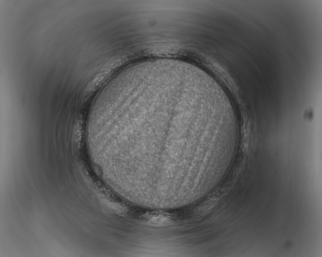X0000115490113200912041024
