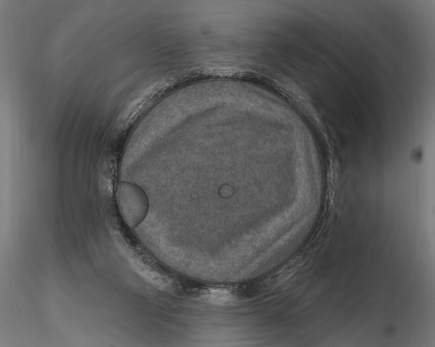 X0000115490114200912041024