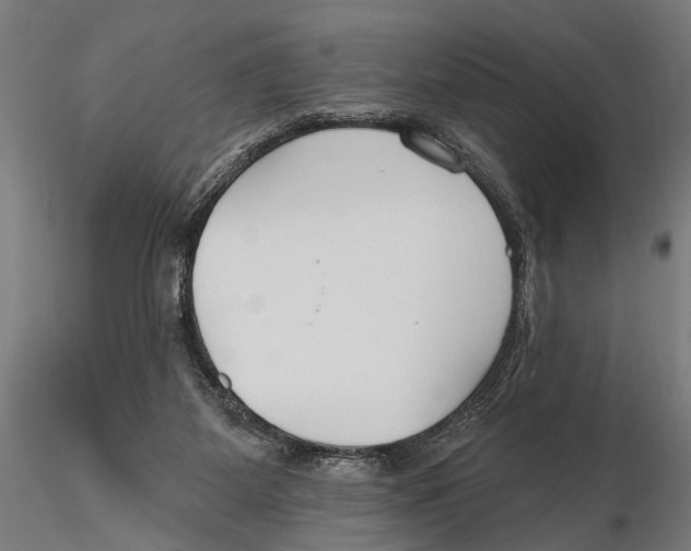 X0000115490115200912041024