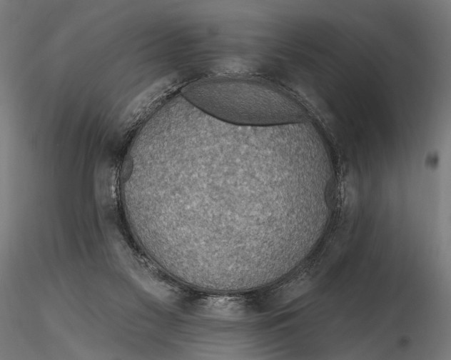 X0000115490117200912041024