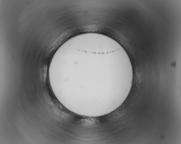 X0000115490118200912041024