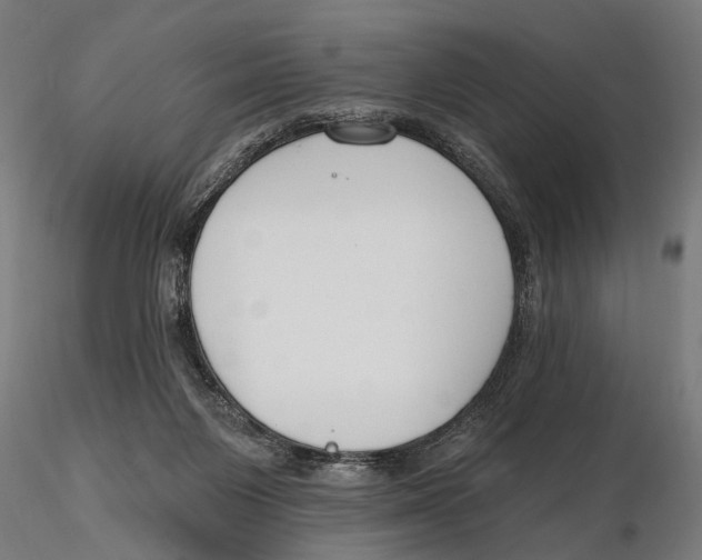 X0000115490119200912041024