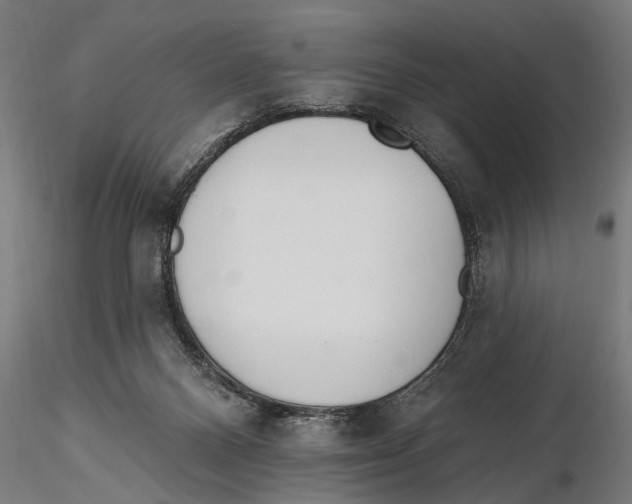 X0000115490120200912041024