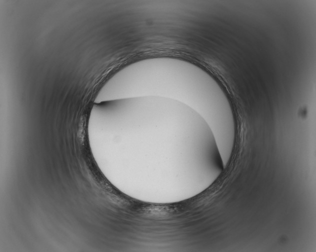 X0000115490121200912041024