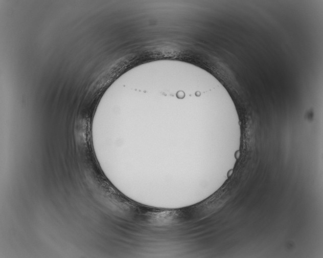 X0000115490122200912041024