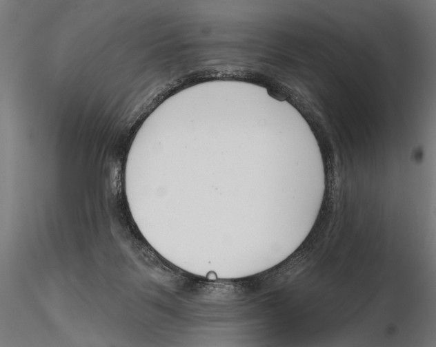 X0000115490123200912041024