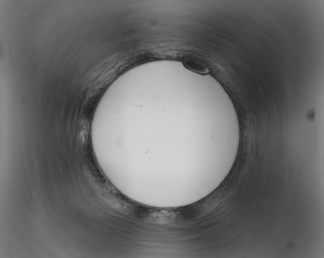 X0000115490125200912041024