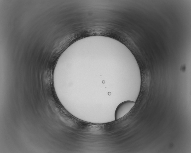 X0000115490126200912041024