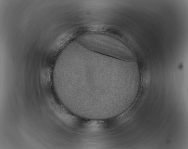 X0000115490128200912041024