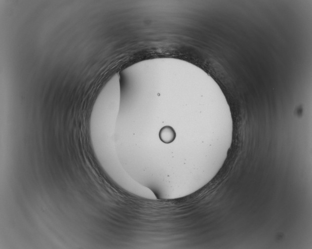 X0000115490129200912041024