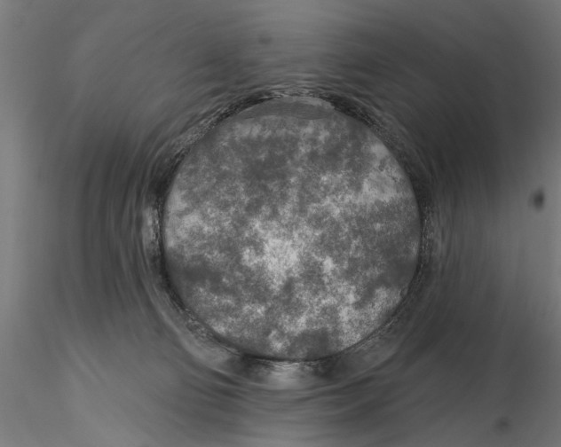 X0000115490130200912041024