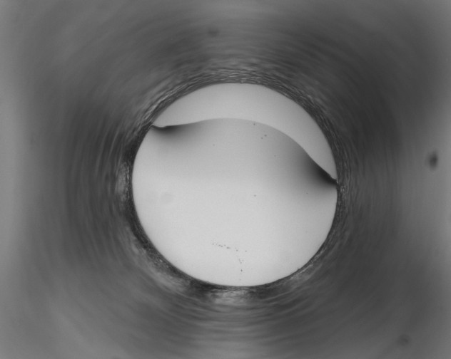 X0000115490132200912041024