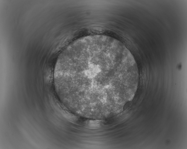 X0000115490134200912041024