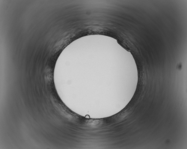 X0000115490135200912041024