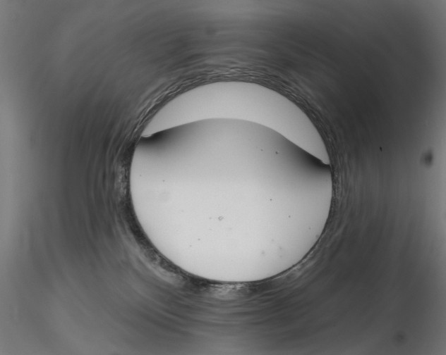 X0000115490136200912041024