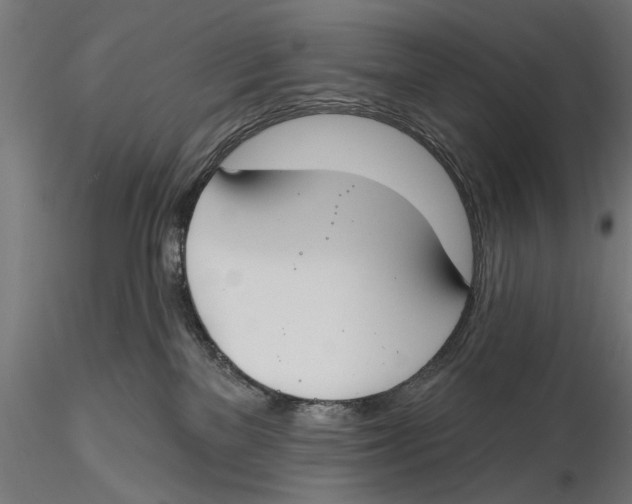 X0000115490137200912041024