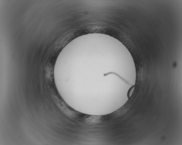 X0000115490138200912041024