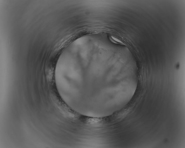 X0000115490139200912041024