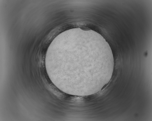 X0000115490140200912041024