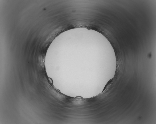 X0000115490142200912041024