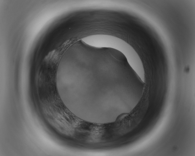 X0000115490143200912041024
