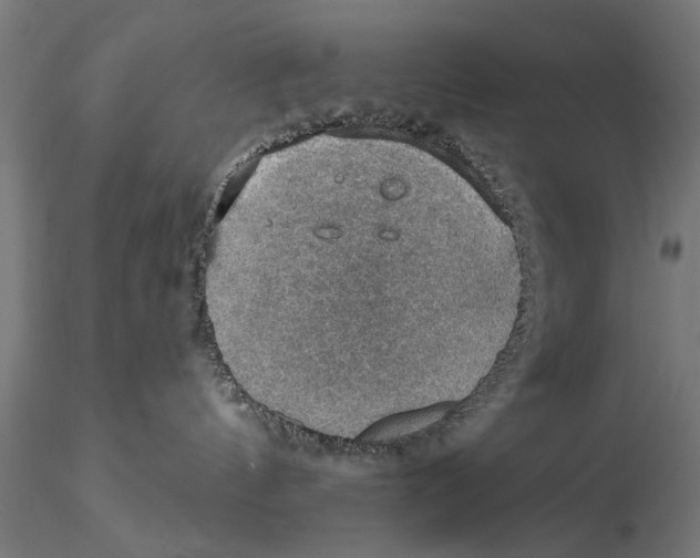 X0000115490144200912041024
