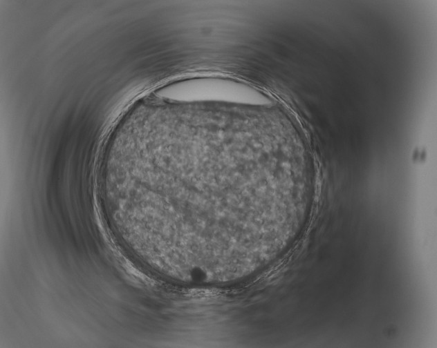 X0000115490145200912041023