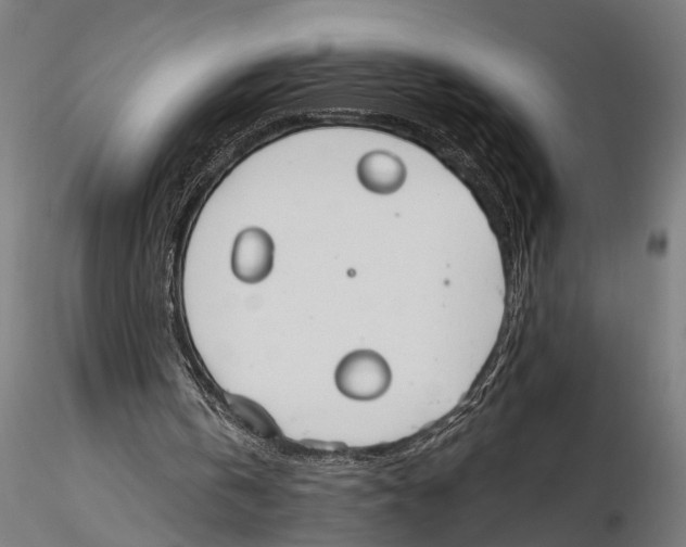 X0000115490146200912041023