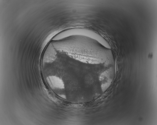 X0000115490147200912041023