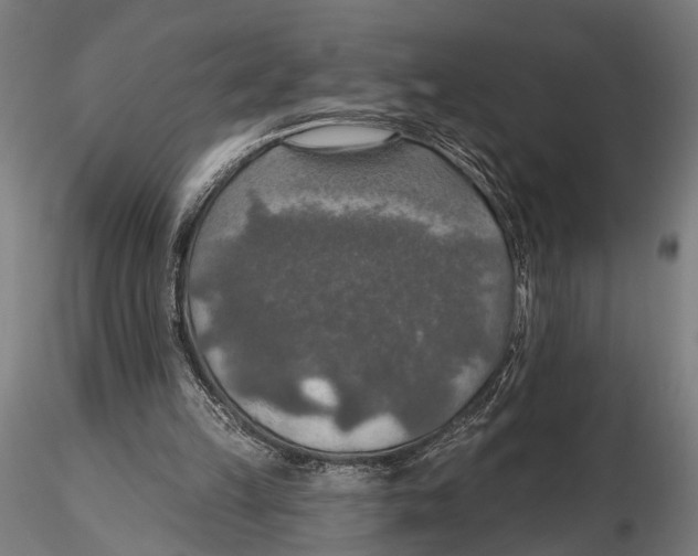 X0000115490149200912041023