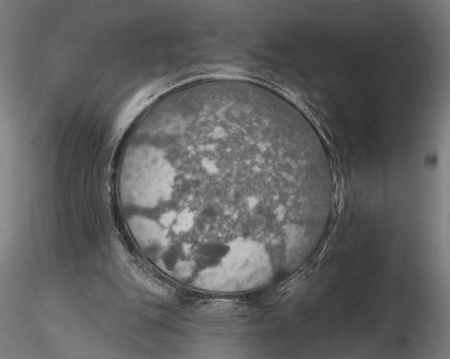 X0000115490151200912041023