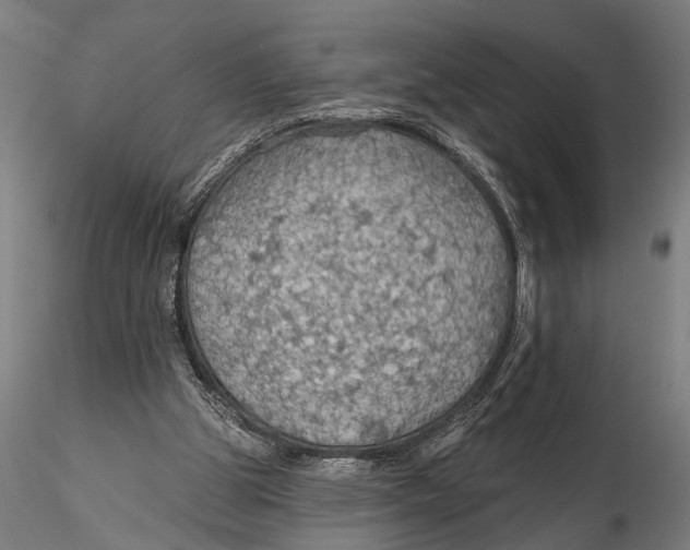 X0000115490153200912041023