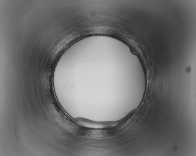 X0000115490154200912041023