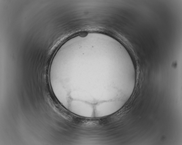 X0000115490155200912041023