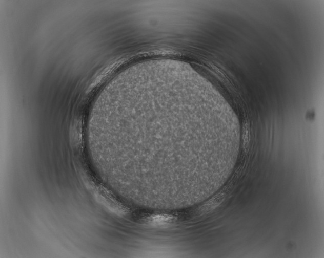 X0000115490158200912041023