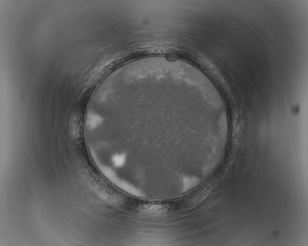 X0000115490161200912041023
