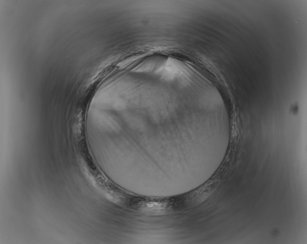 X0000115490163200912041023
