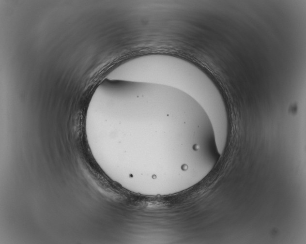X0000115490165200912041023
