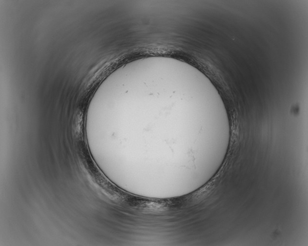 X0000115490166200912041023