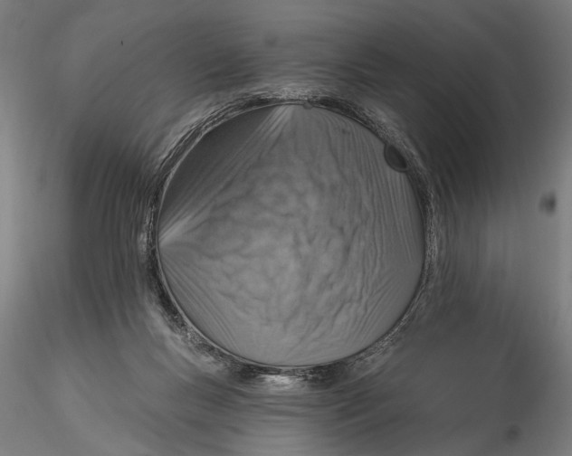 X0000115490167200912041023