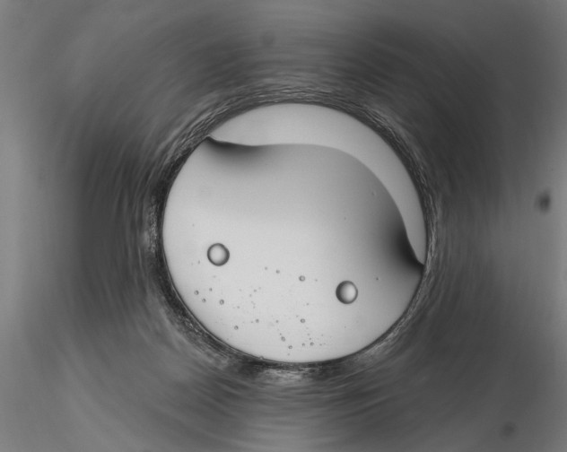 X0000115490170200912041023