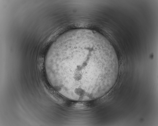 X0000115490171200912041023
