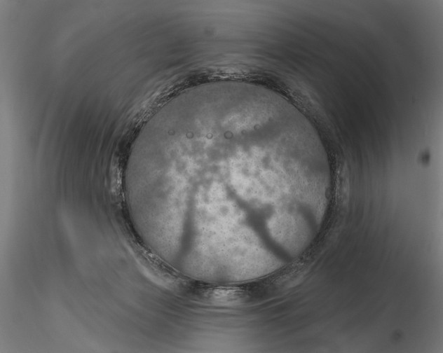 X0000115490173200912041023