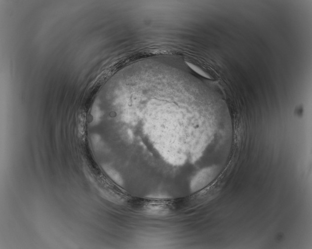 X0000115490175200912041023