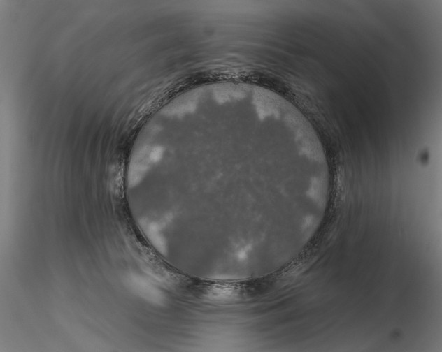 X0000115490177200912041023