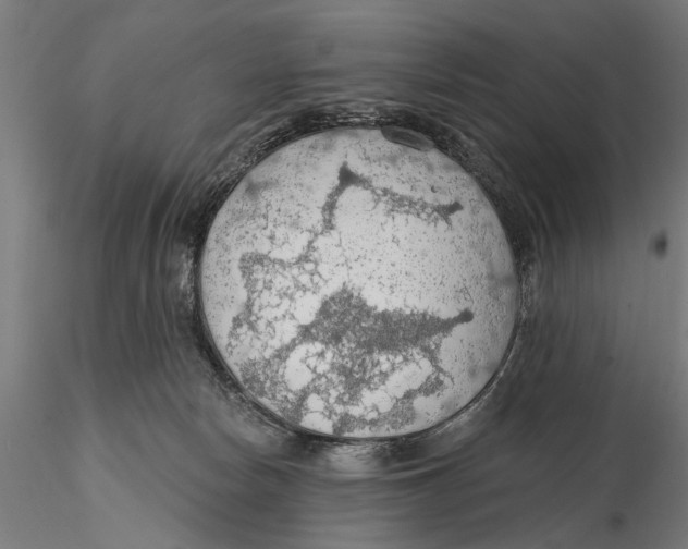 X0000115490178200912041024