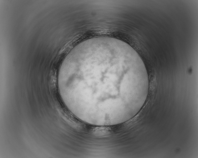 X0000115490179200912041024
