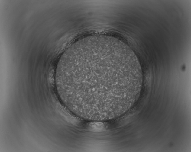 X0000115490181200912041024