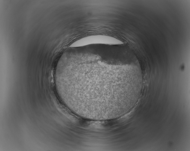 X0000115490182200912041024
